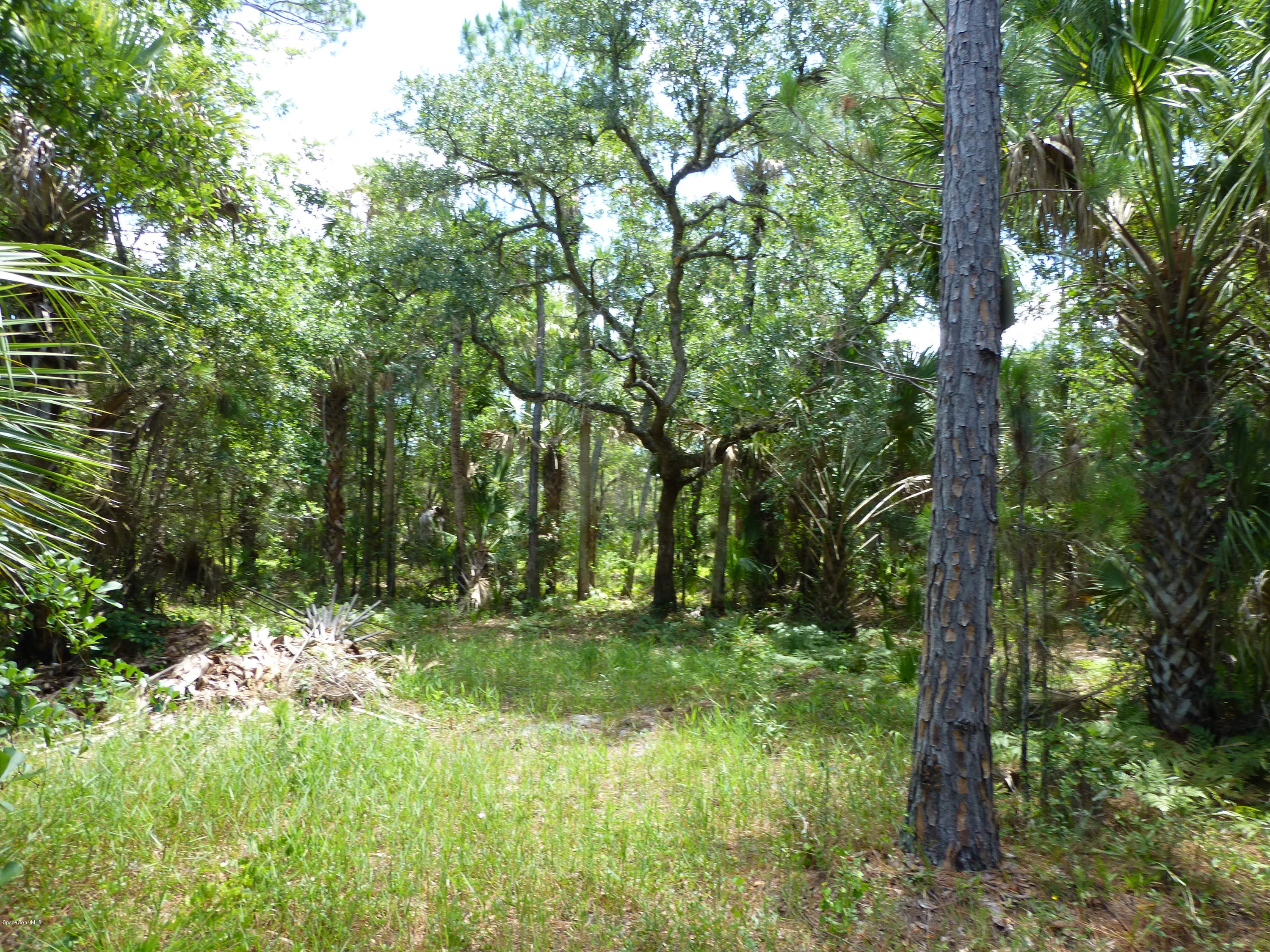 350 Liberty Road Mims, FL 32754 - Photo 50 of 59 P1010836