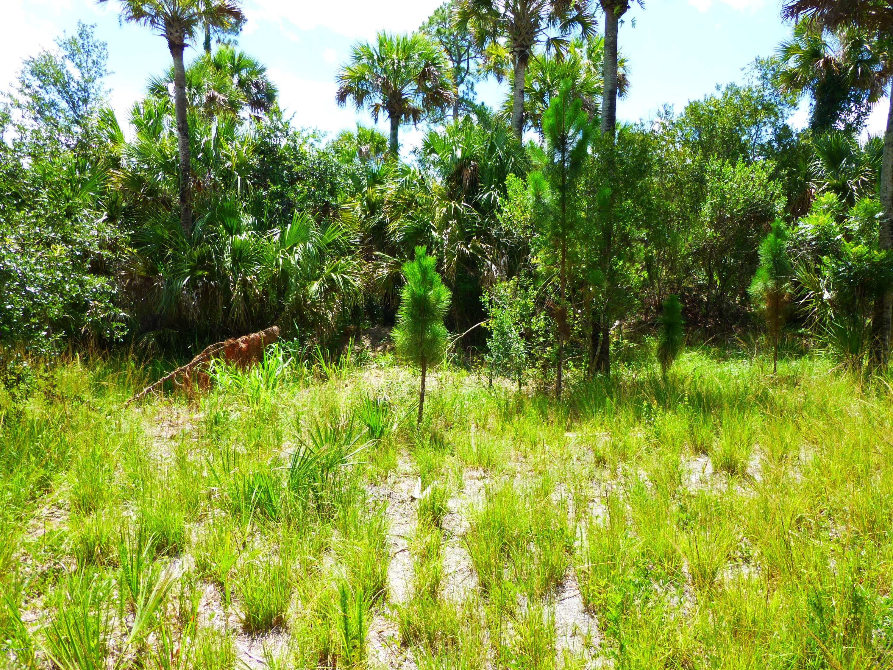 350 Liberty Road Mims, FL 32754 - Photo 6 of 59 P1010768