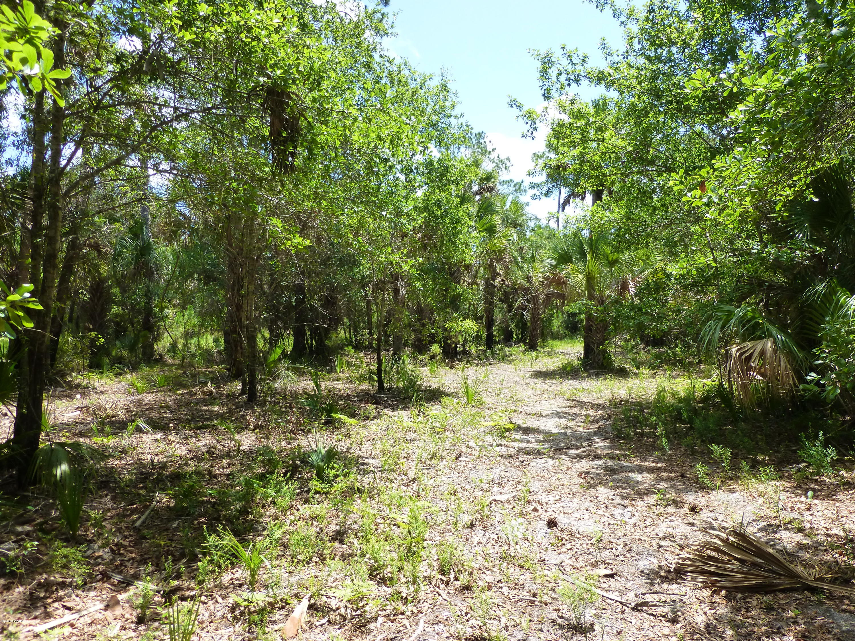 350 Liberty Road Mims, FL 32754 - Photo 51 of 59 P1010838
