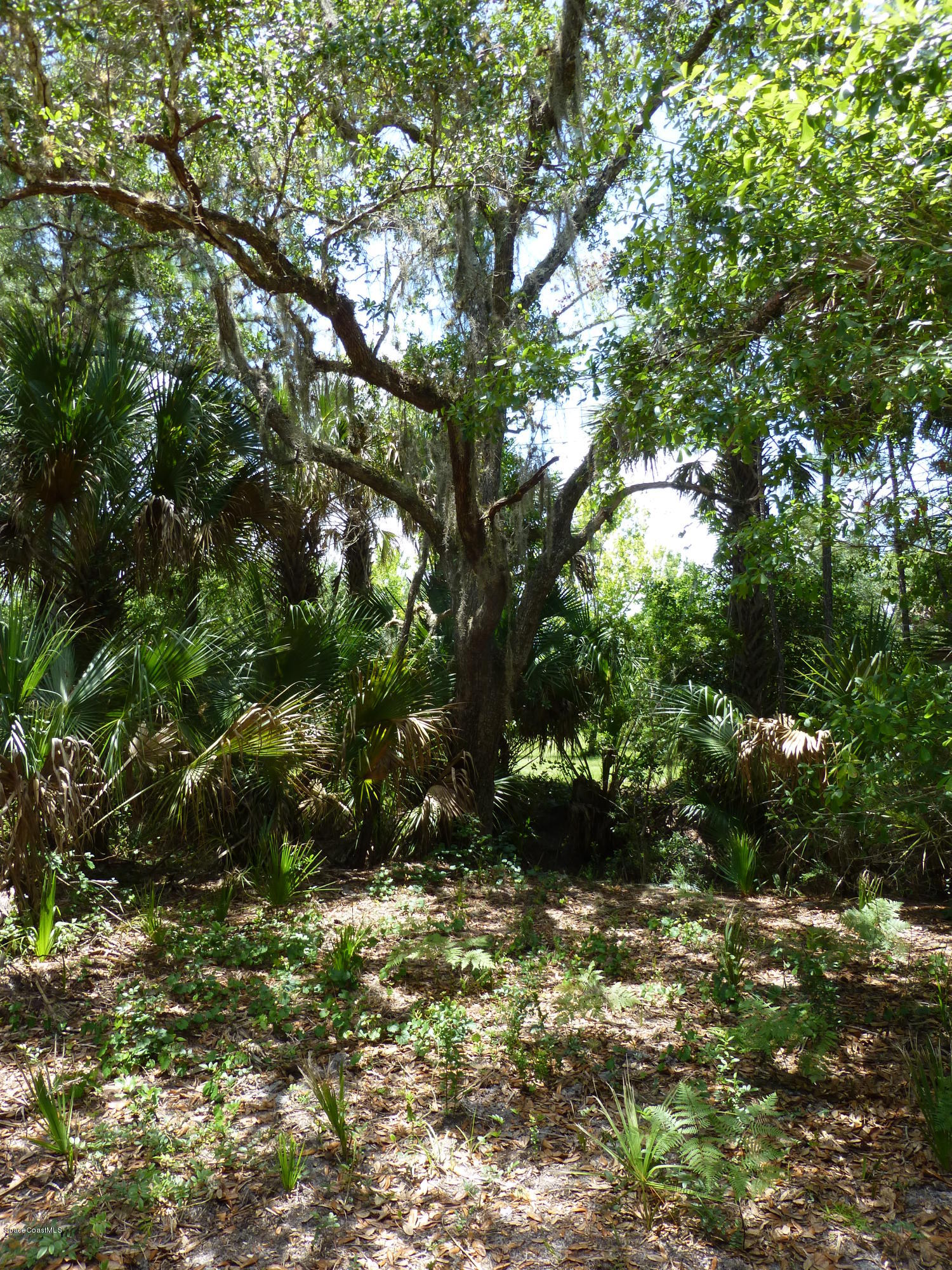 350 Liberty Road Mims, FL 32754 - Photo 52 of 59 P1010839