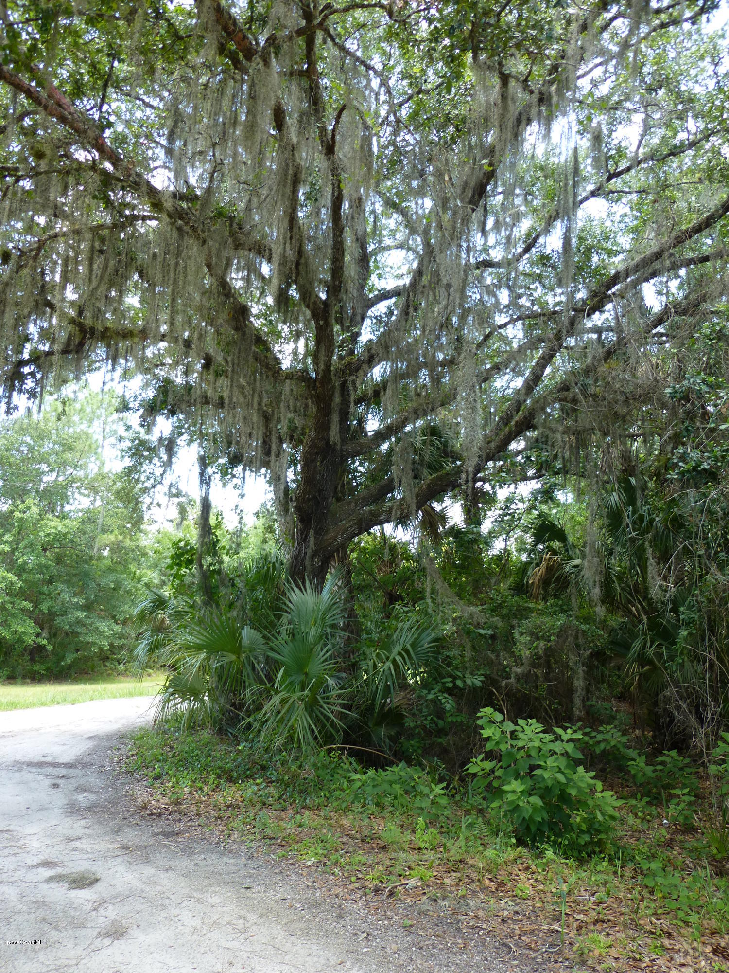 350 Liberty Road Mims, FL 32754 - Photo 53 of 59 P1010842