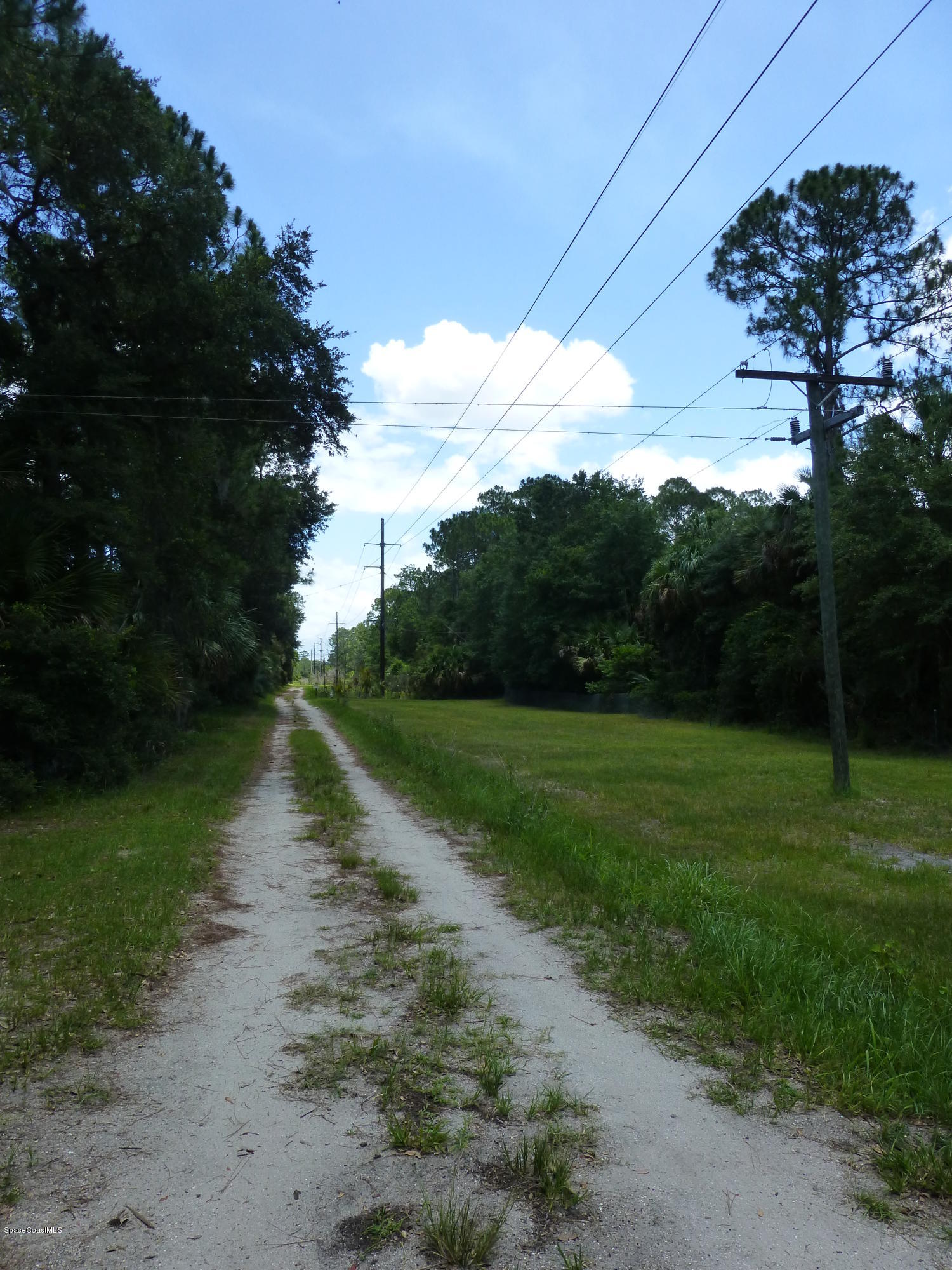 350 Liberty Road Mims, FL 32754 - Photo 54 of 59 P1010843