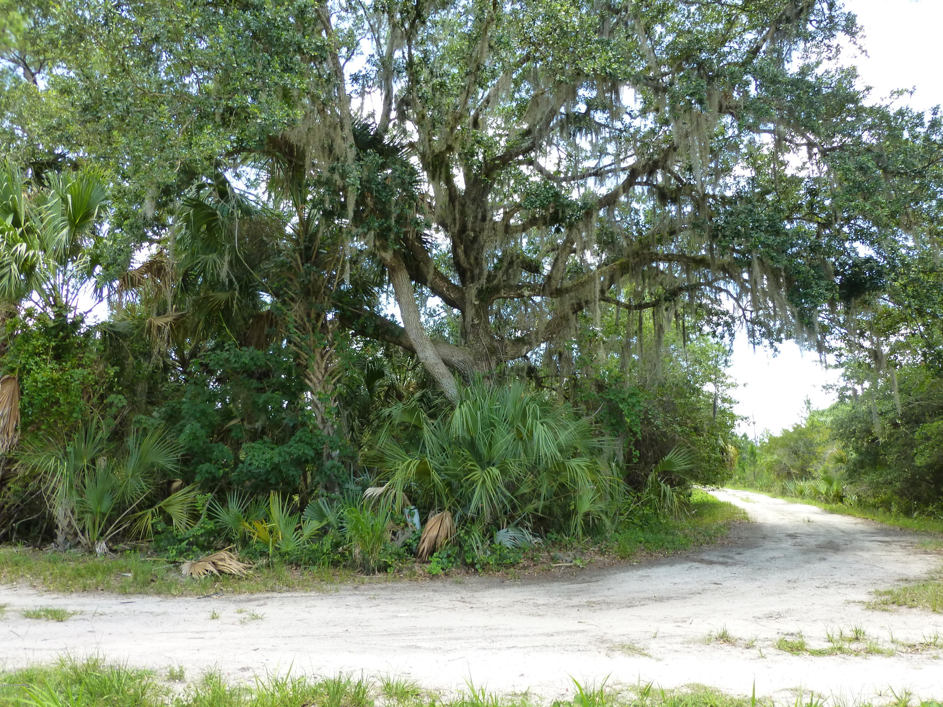 350 Liberty Road Mims, FL 32754 - Photo 56 of 59 P1010845