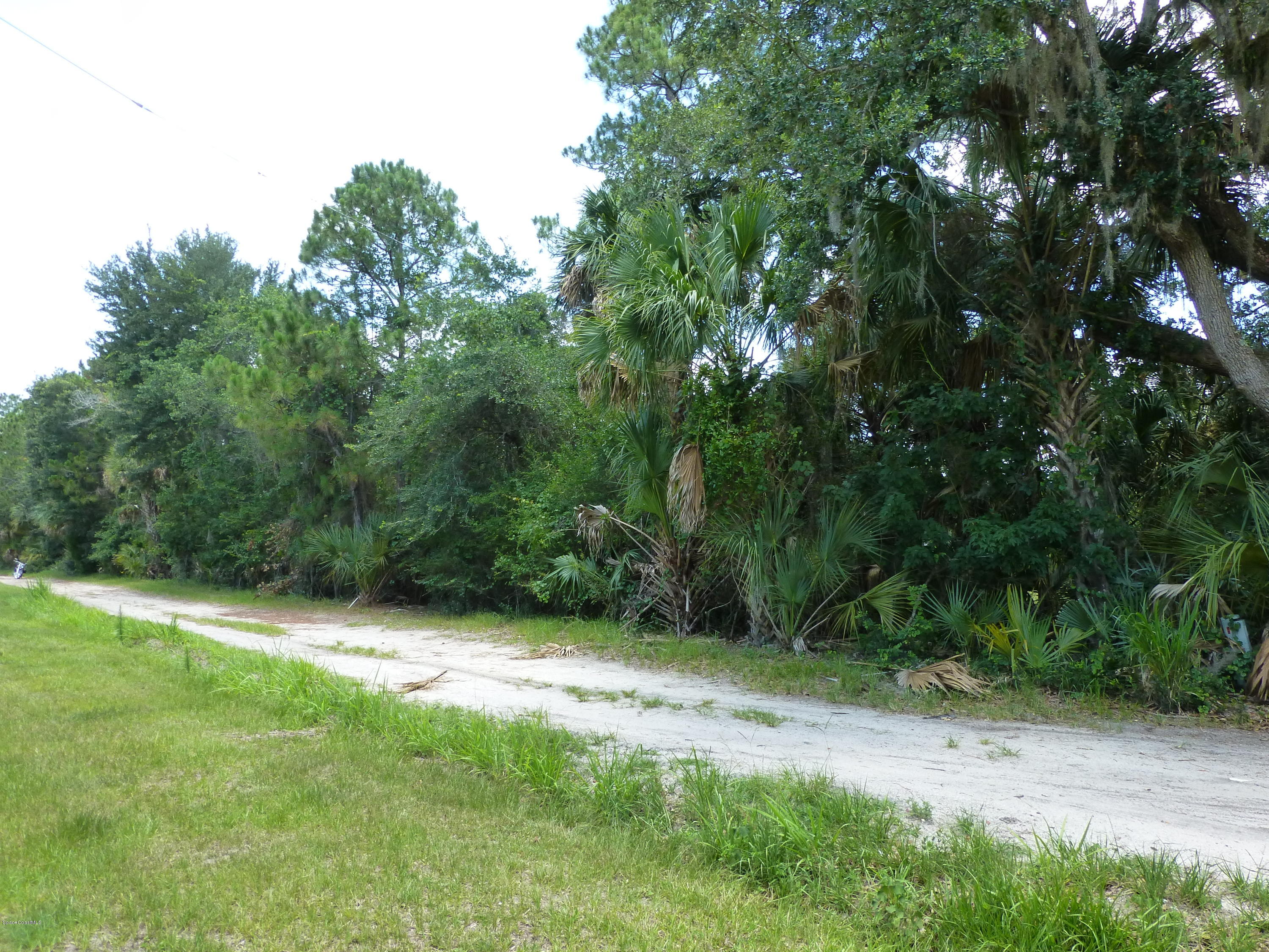 350 Liberty Road Mims, FL 32754 - Photo 57 of 59 P1010846