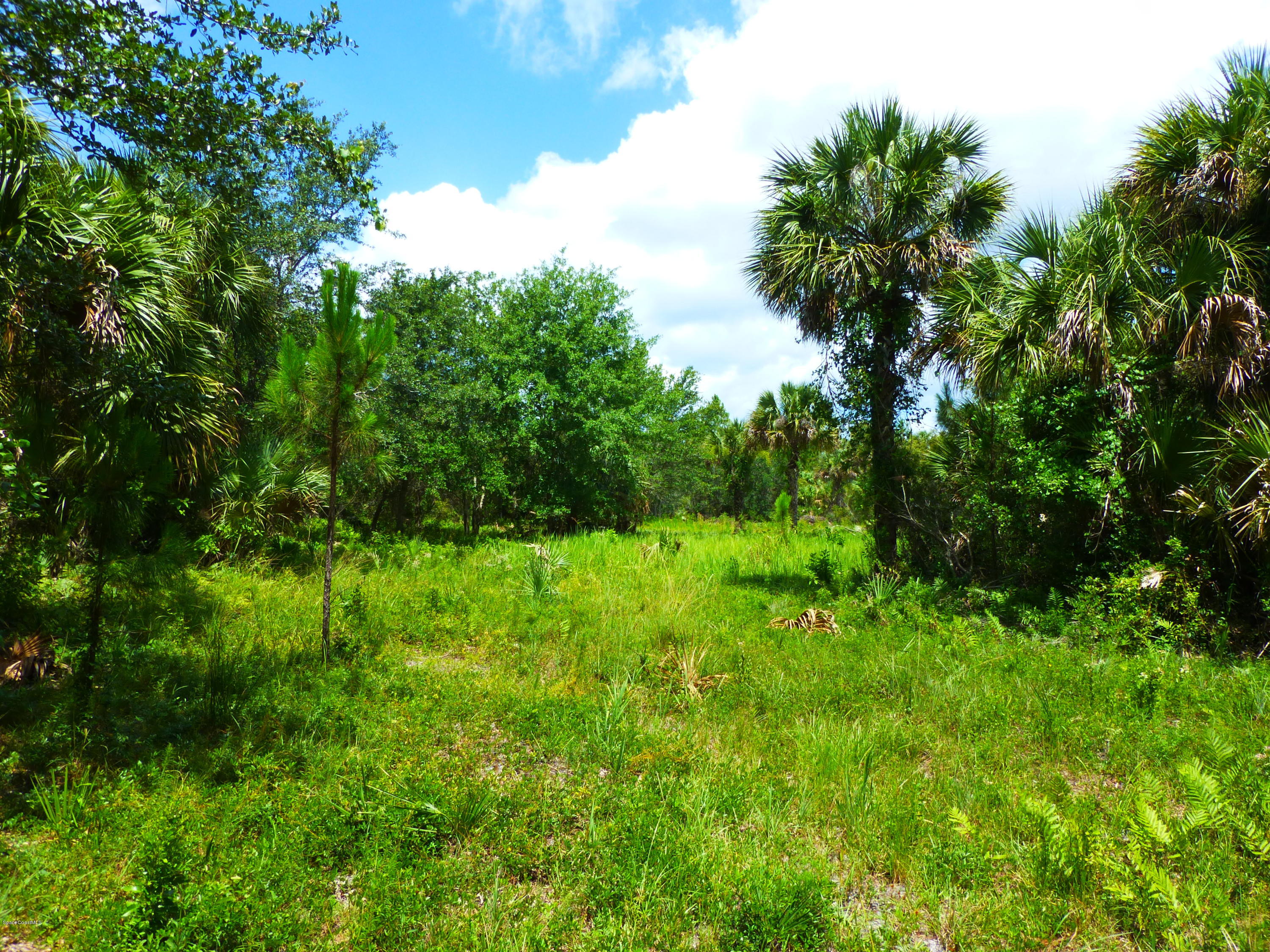 350 Liberty Road Mims, FL 32754 - Photo 8 of 59 P1010770