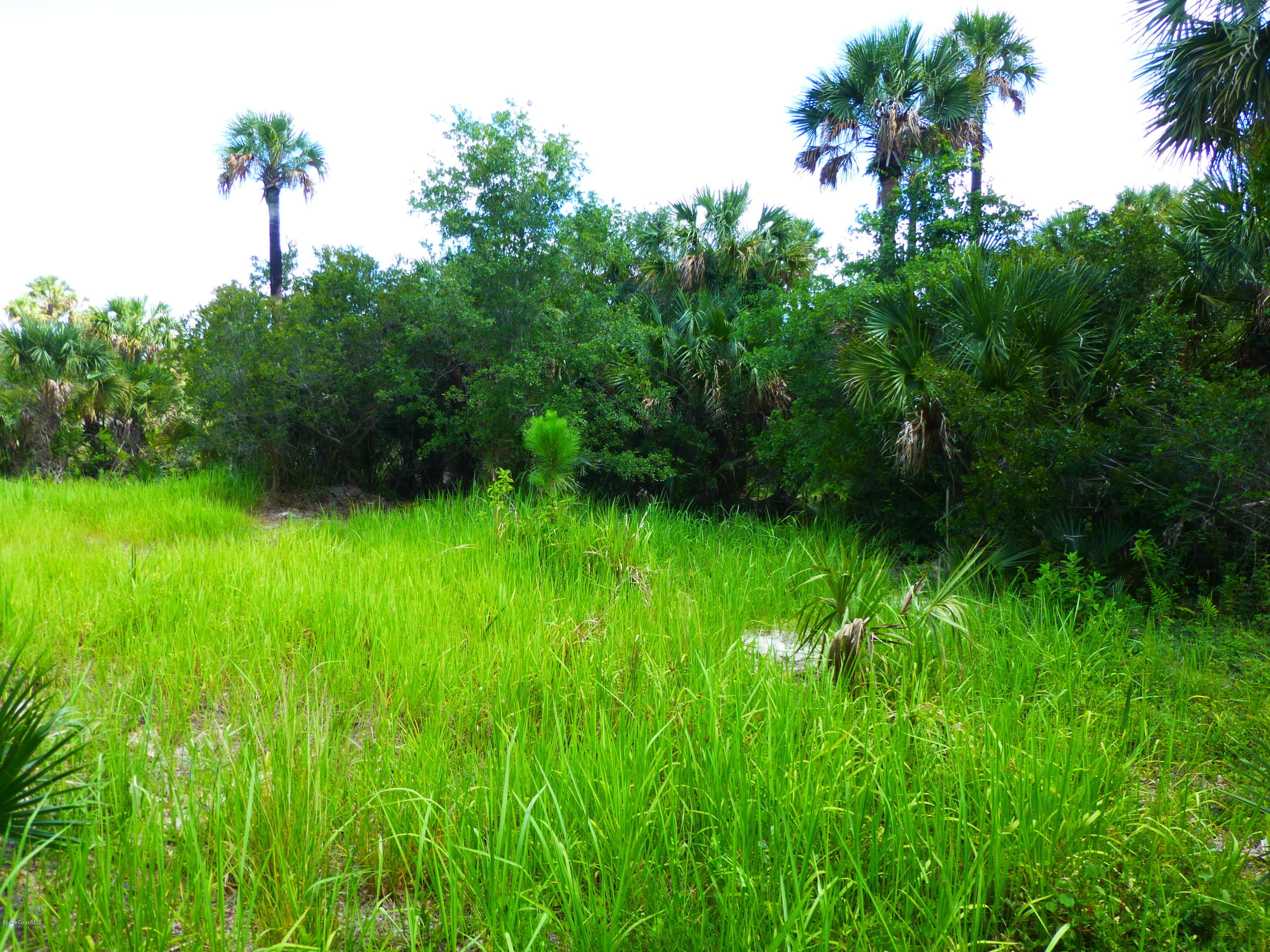 350 Liberty Road Mims, FL 32754 - Photo 9 of 59 P1010771