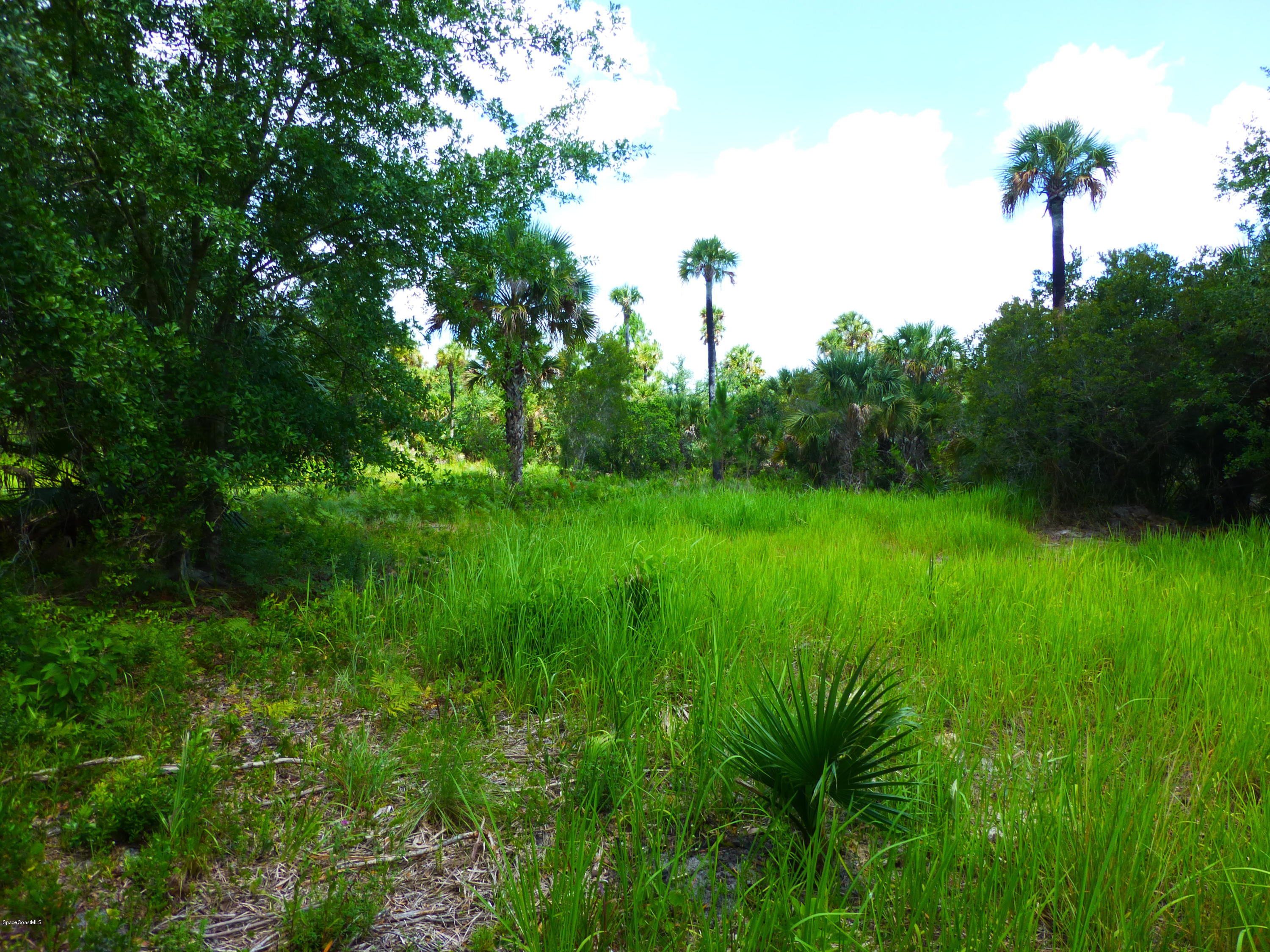 350 Liberty Road Mims, FL 32754 - Photo 10 of 59 P1010772