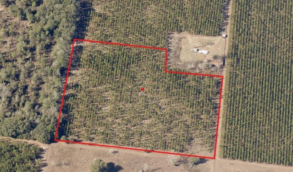 0 225th Road Live Oak, FL 32060 - Photo 11 of 11