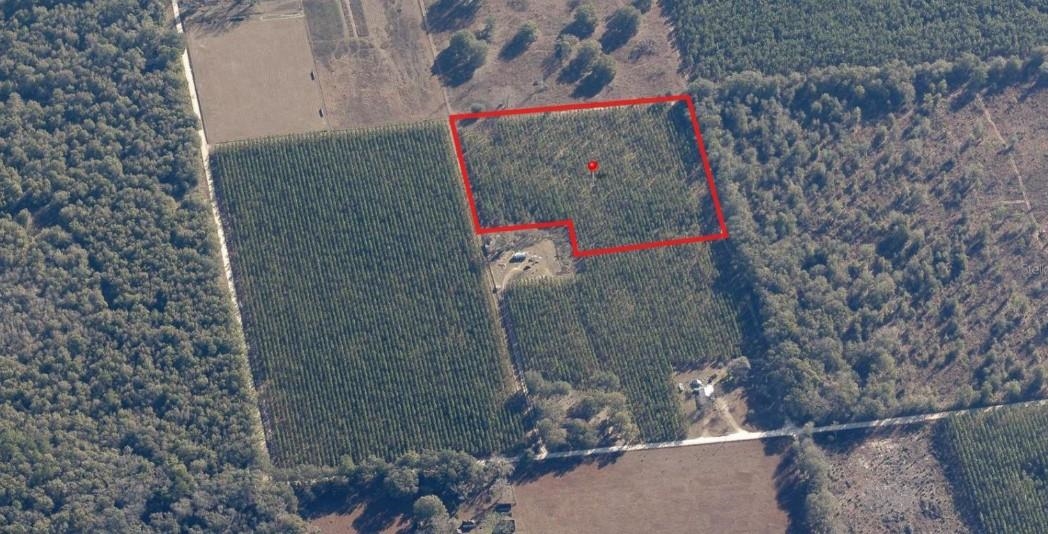 0 225th Road Live Oak, FL 32060 - Photo 4 of 11