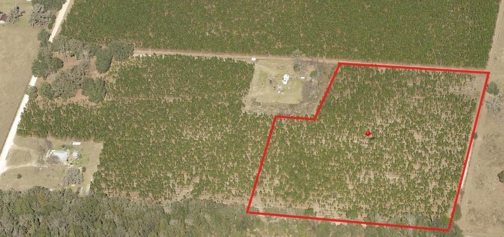 0 225th Road Live Oak, FL 32060 - Photo 8 of 11