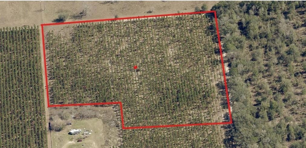 0 225th Road Live Oak, FL 32060 - Photo 9 of 11