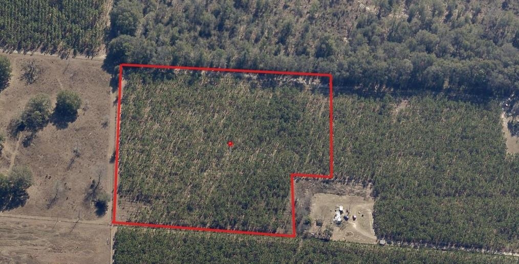 0 225th Road Live Oak, FL 32060 - Photo 10 of 11