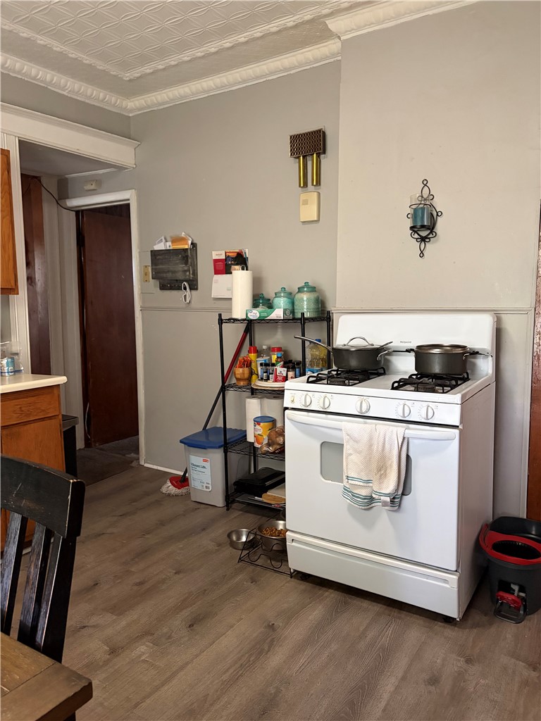 97 Locust Street Rochester, NY 14613 - Photo 12 of 28 Downstairs Unit Kitchen