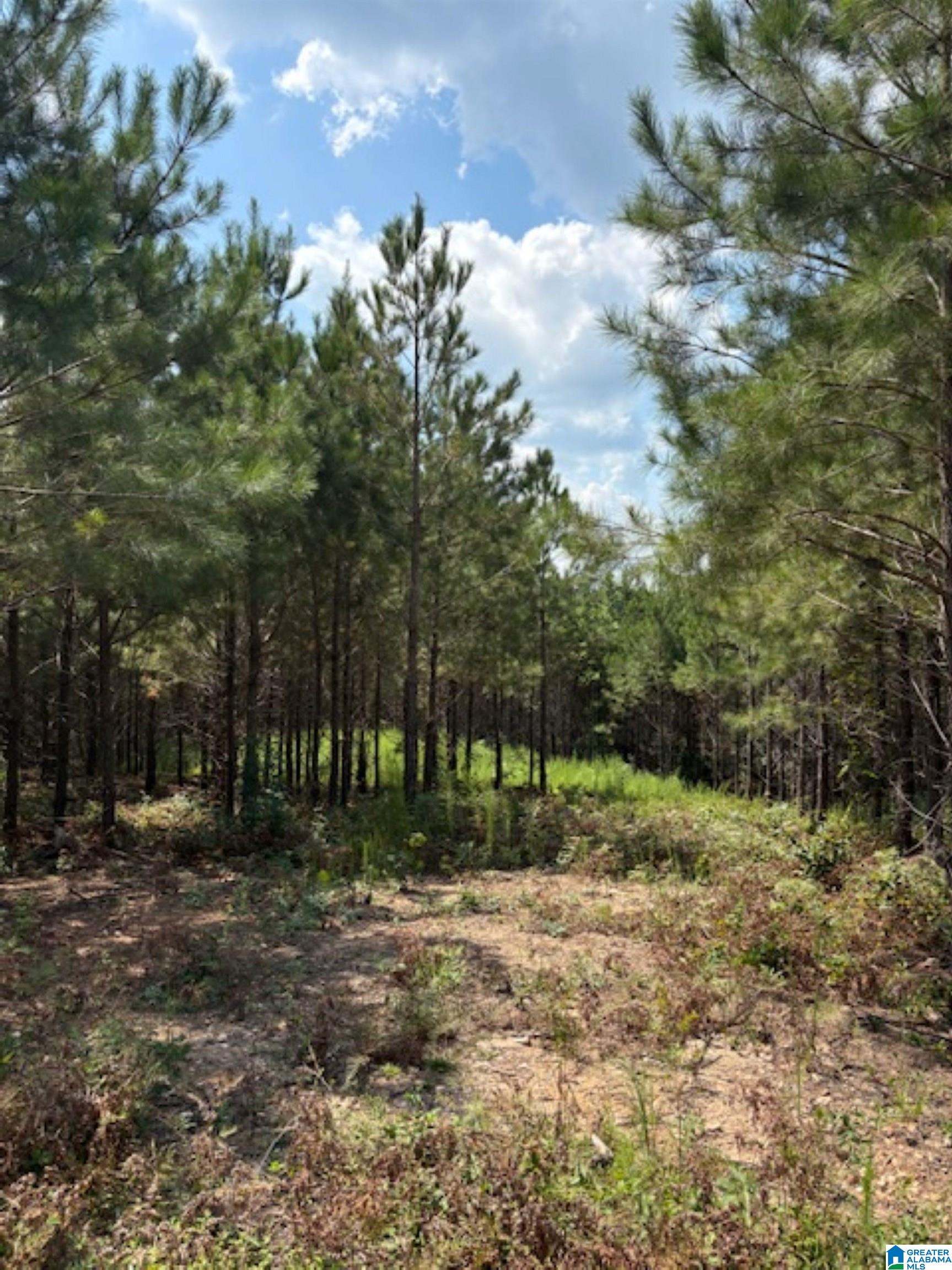 472 County Road, Unit 4 Clanton, AL 35045 - Photo 4 of 6