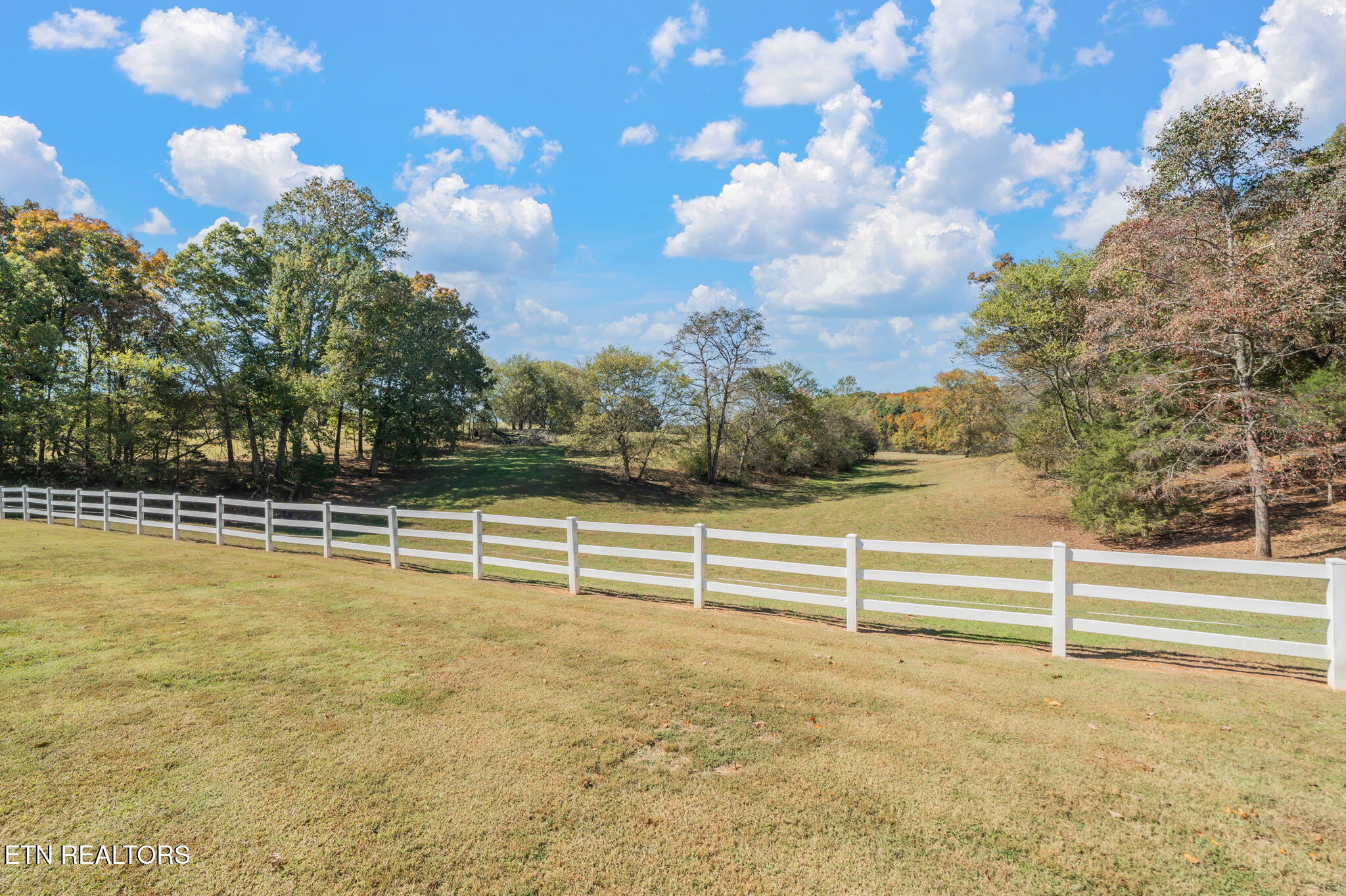 16415 Sunnyside Road Philadelphia, TN 37846 - Photo 23 of 60 38-web-or-mls-16415 Sunnyside Road-48