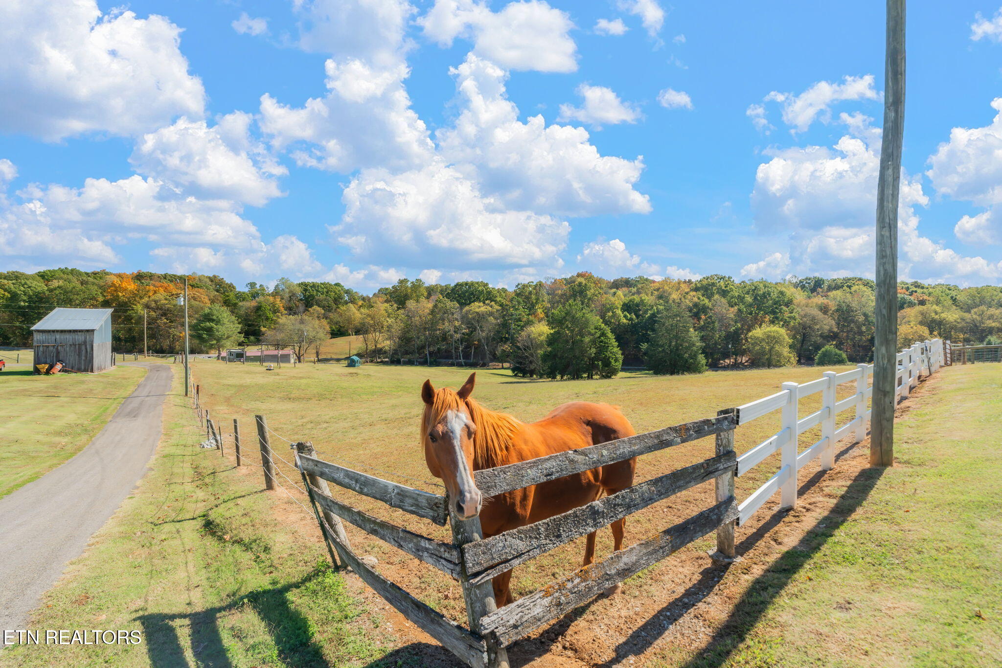 16415 Sunnyside Road Philadelphia, TN 37846 - Photo 33 of 60 51-web-or-mls-16415 Sunnyside Road-39