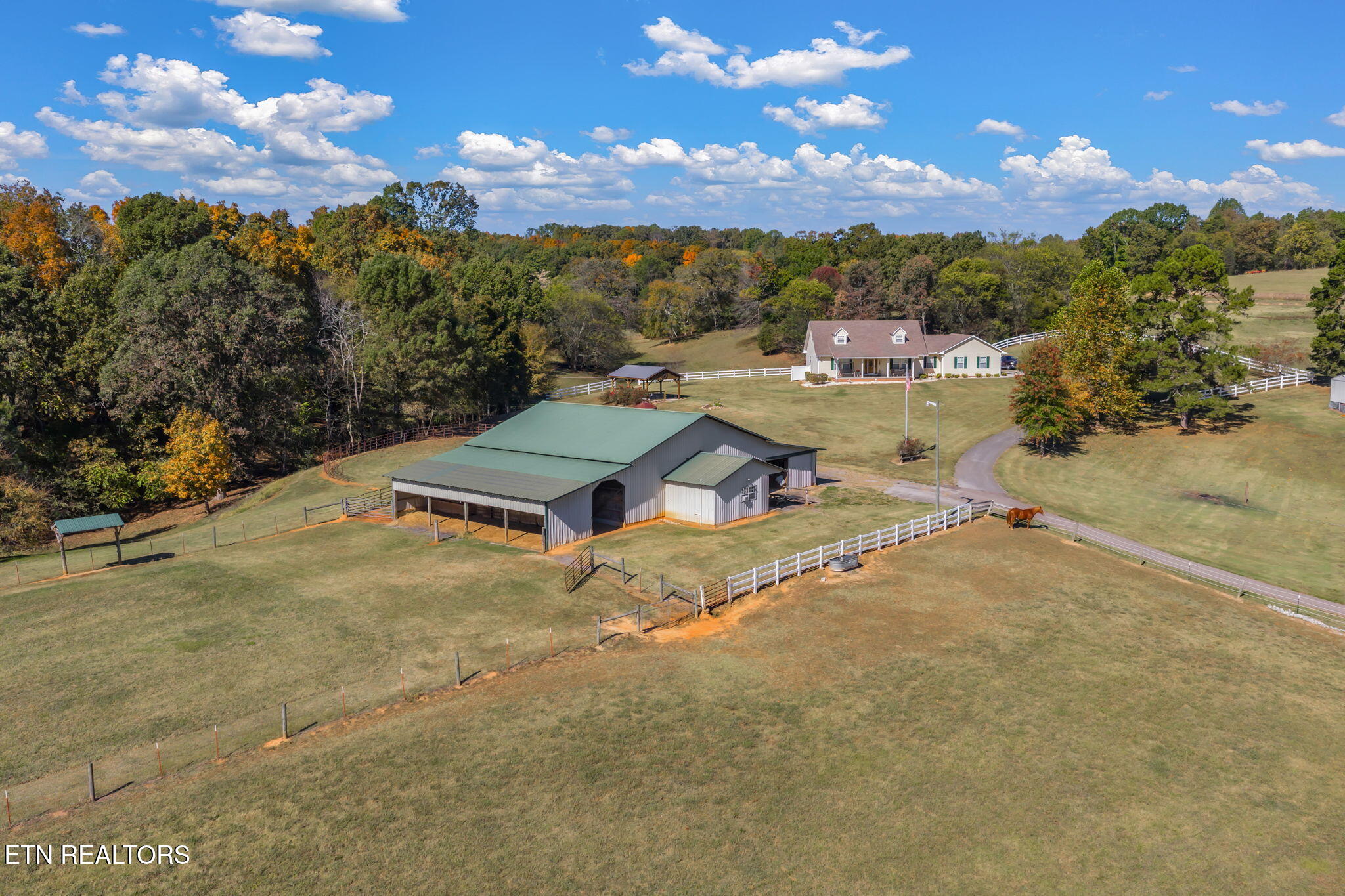 16415 Sunnyside Road Philadelphia, TN 37846 - Photo 39 of 60 60-web-or-mls-16415 Sunnyside Road-60