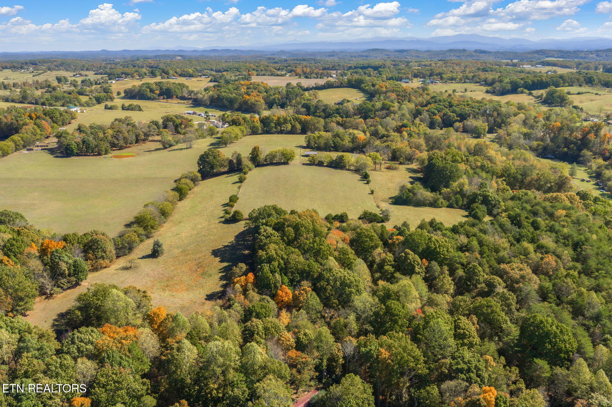 16415 Sunnyside Road Philadelphia, TN 37846 - Photo 49 of 60 79-web-or-mls-16415 Sunnyside Road-79