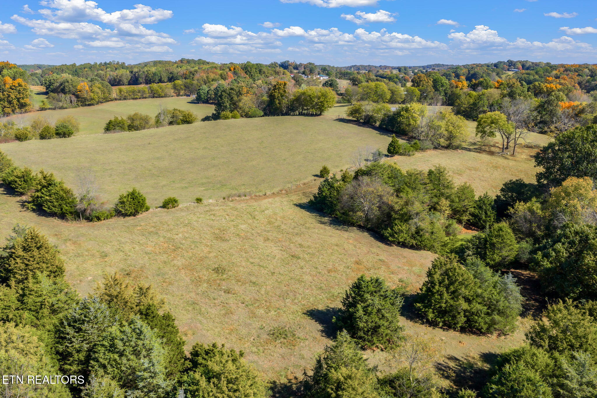 16415 Sunnyside Road Philadelphia, TN 37846 - Photo 51 of 60 84-web-or-mls-16415 Sunnyside Road-84
