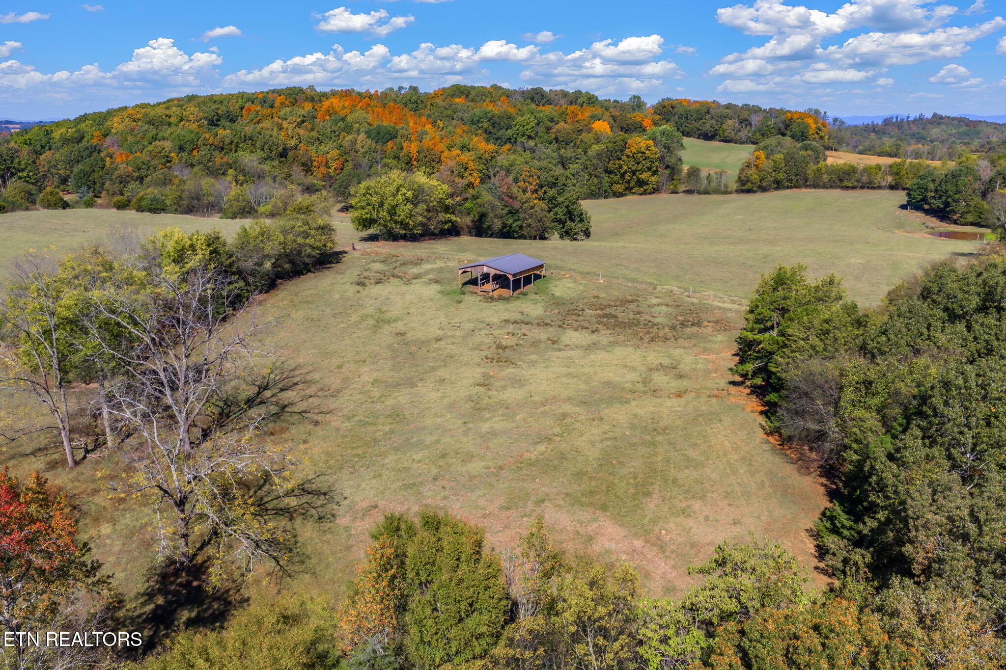 16415 Sunnyside Road Philadelphia, TN 37846 - Photo 53 of 60 88-web-or-mls-16415 Sunnyside Road-88