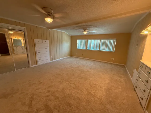 a view of backyard with tree