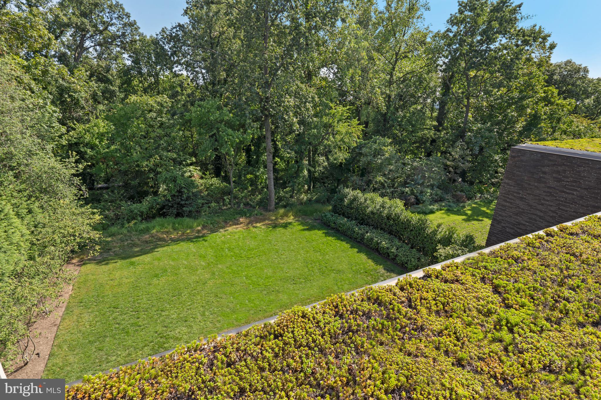 3131 Chain Bridge Road Northwest Washington, DC 20016 - Photo 8 of 54 a view of a backyard with large trees