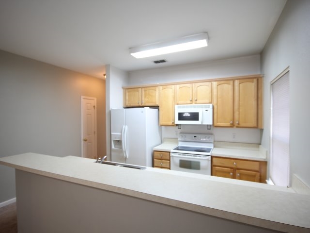 2112 Bullocks Run Road Tallahassee, FL 32303 - Photo 25 of 33 Gallery Image 25
