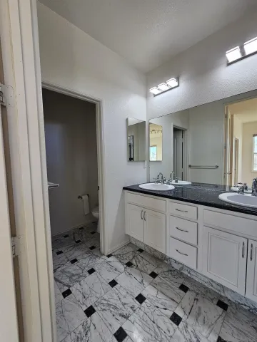 a bathroom with a sink a toilet a mirror and shower