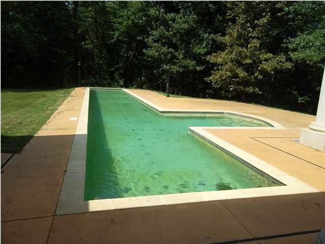 276 Lake Castle Road Madison, MS 39110 - Photo 12 of 12 Photo 12