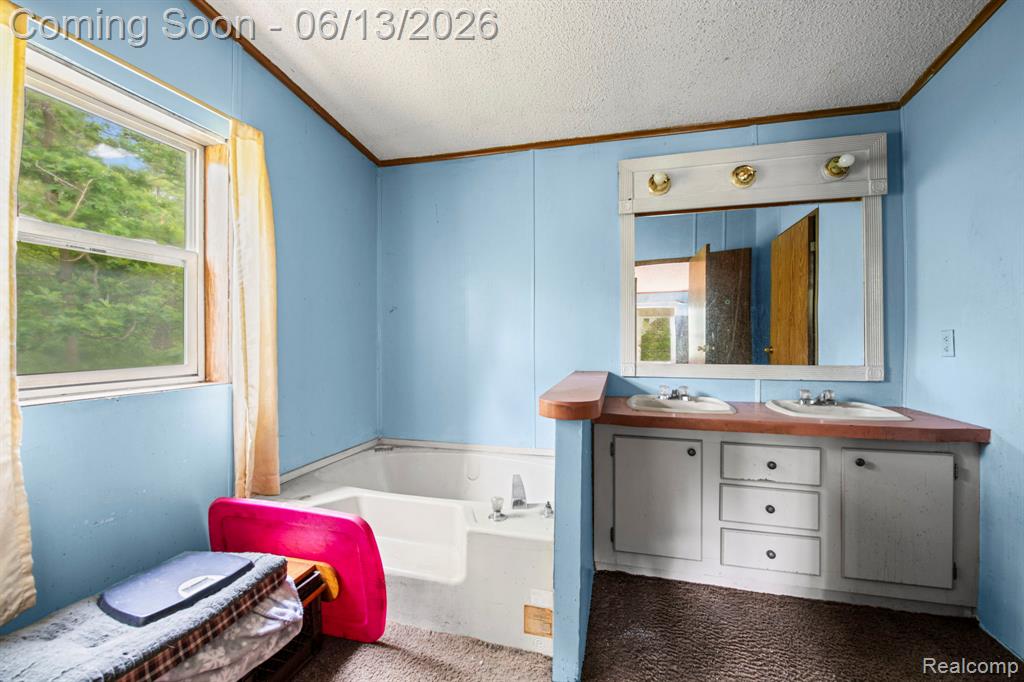 51105 Arkona Road Belleville, MI 48111 - Photo 14 of 32