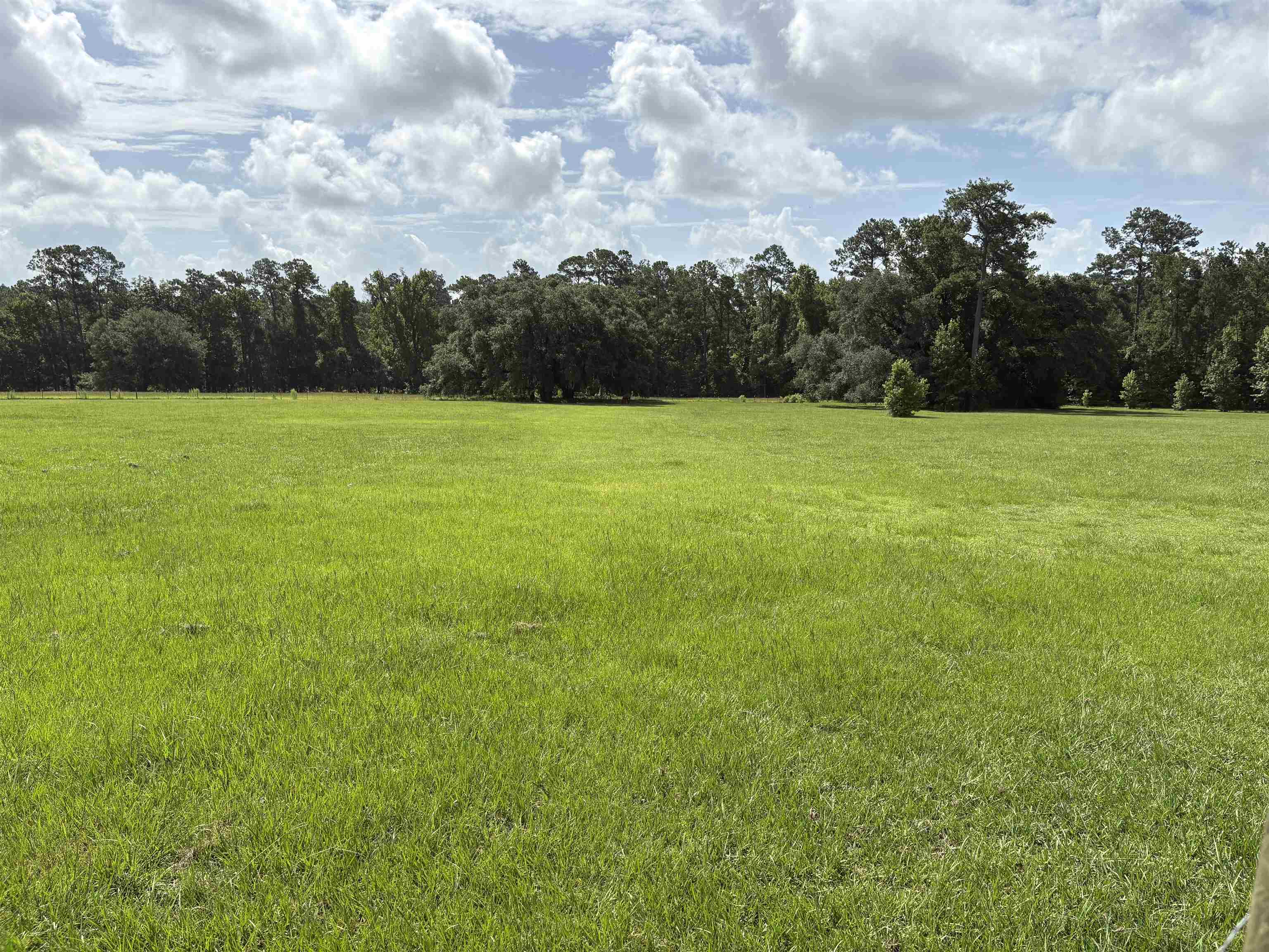 458 Watermill Road Monticello, FL 32344 - Photo 10 of 11