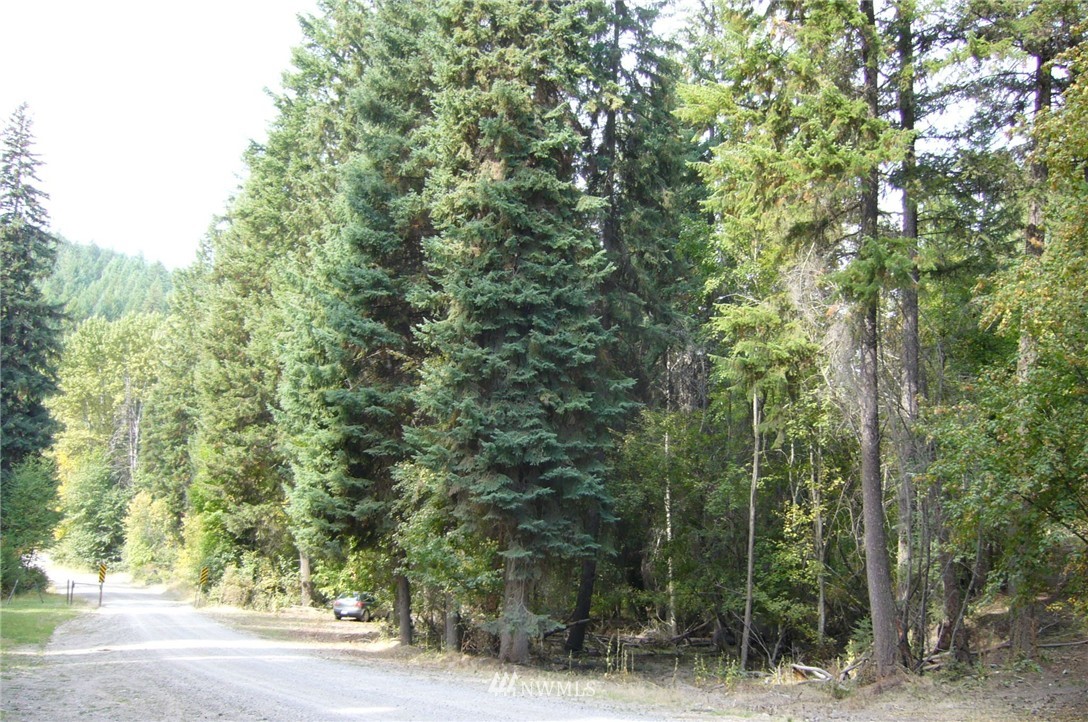 61 Lambert Creek Road Republic, WA 99166 - Photo 3 of 12 Gallery Image 3