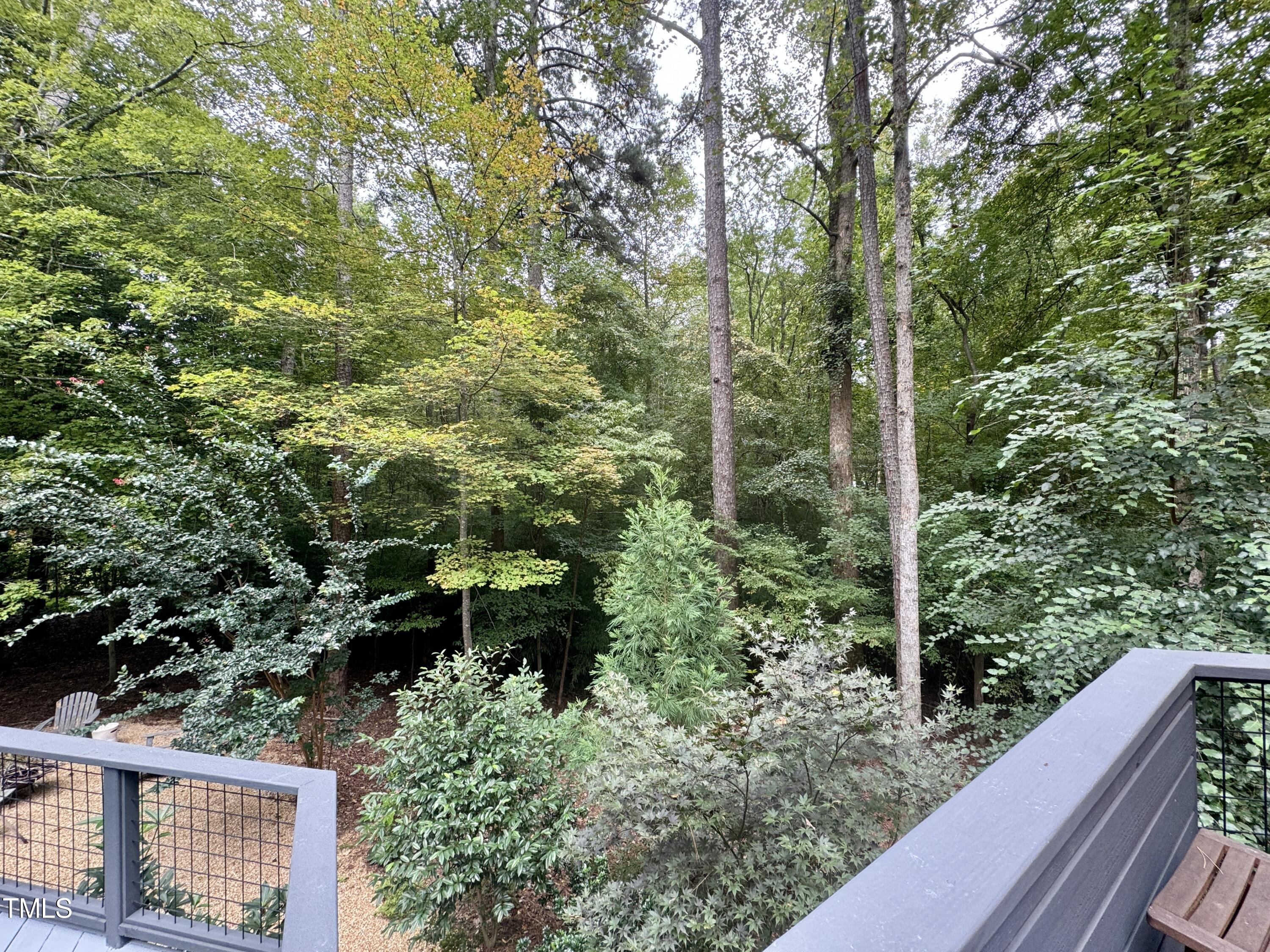 11904 Deer Run Raleigh, NC 27614 - Photo 48 of 61 a view of a garden with plants and large trees