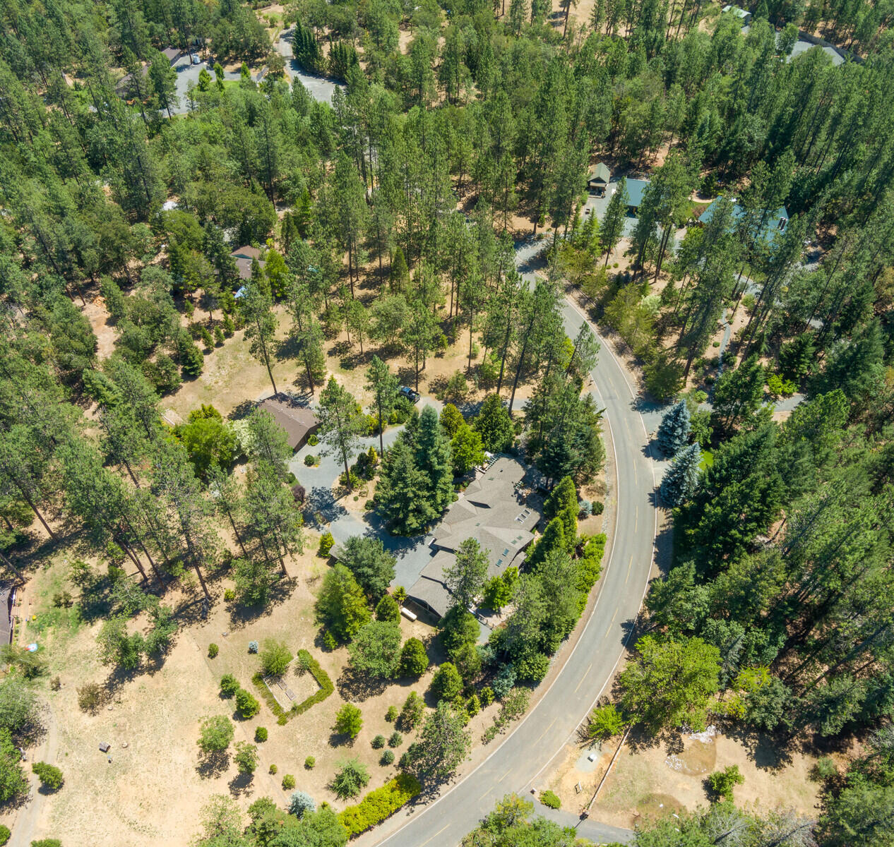 281 Rossier Lane Grants Pass, OR 97527 - Photo 4 of 63 a view of a forest with a tree