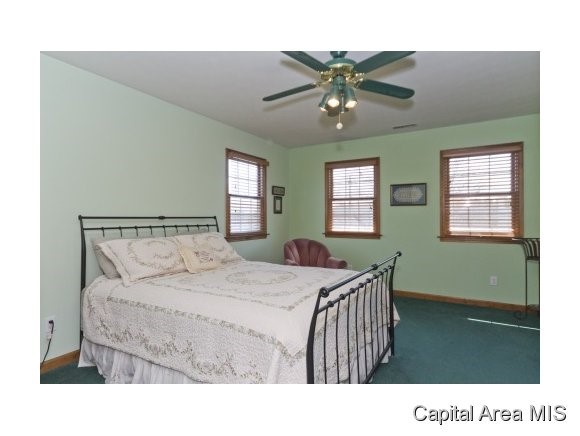 34 Maplehurst Drive Rochester, IL 62563 - Photo 19 of 24