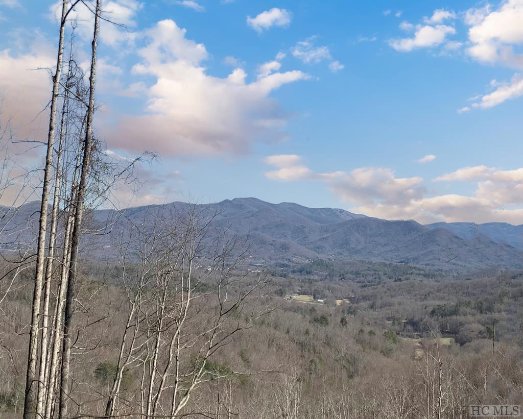 0 North Skeenah Road Franklin, NC 28734 - Photo 2 of 20 Gallery Image 2