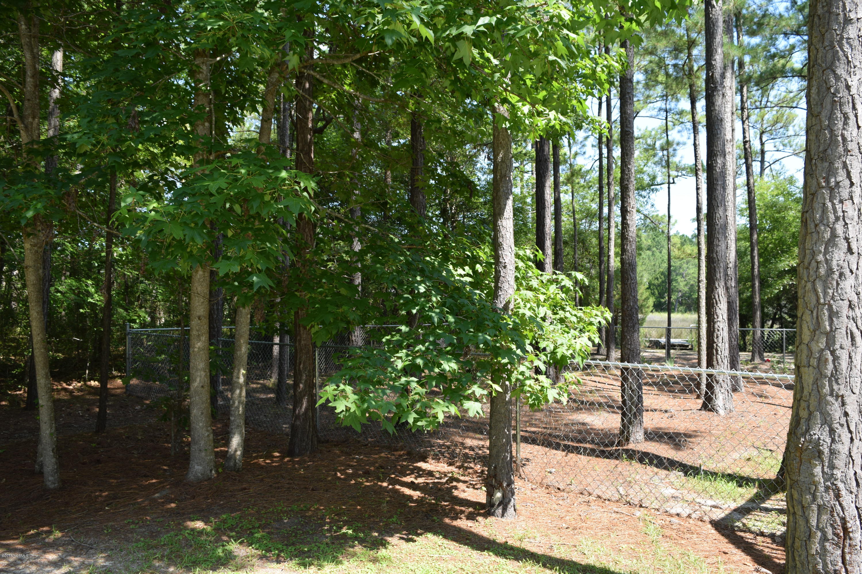 4601 Merrimon Road Beaufort, NC 28516 - Photo 32 of 39 Back Yard