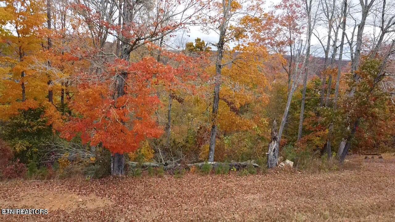 583 South Two Rivers Lane La Follette, TN 37766 - Photo 23 of 23 20230912195902497343000000-o