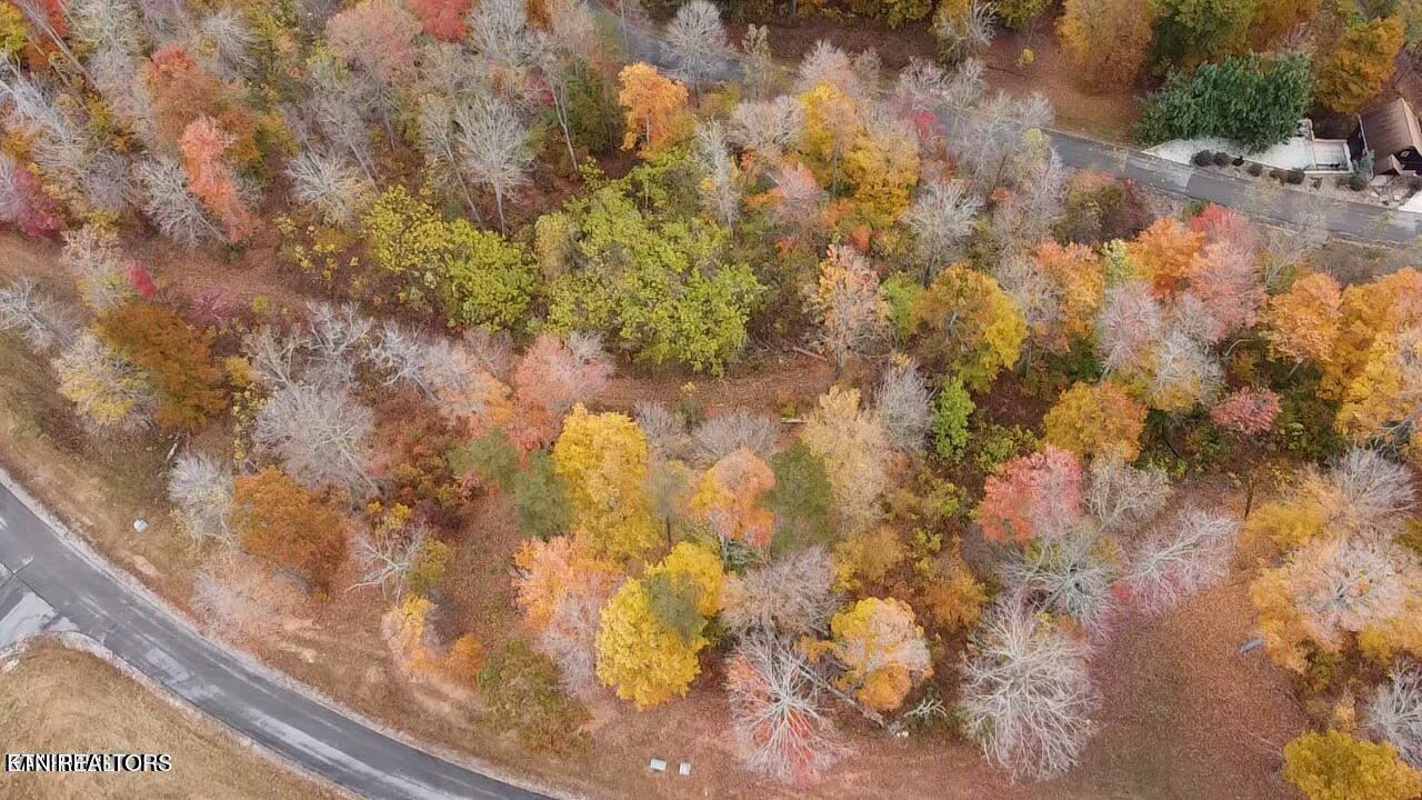 583 South Two Rivers Lane La Follette, TN 37766 - Photo 8 of 23 20230912195904853008000000-o