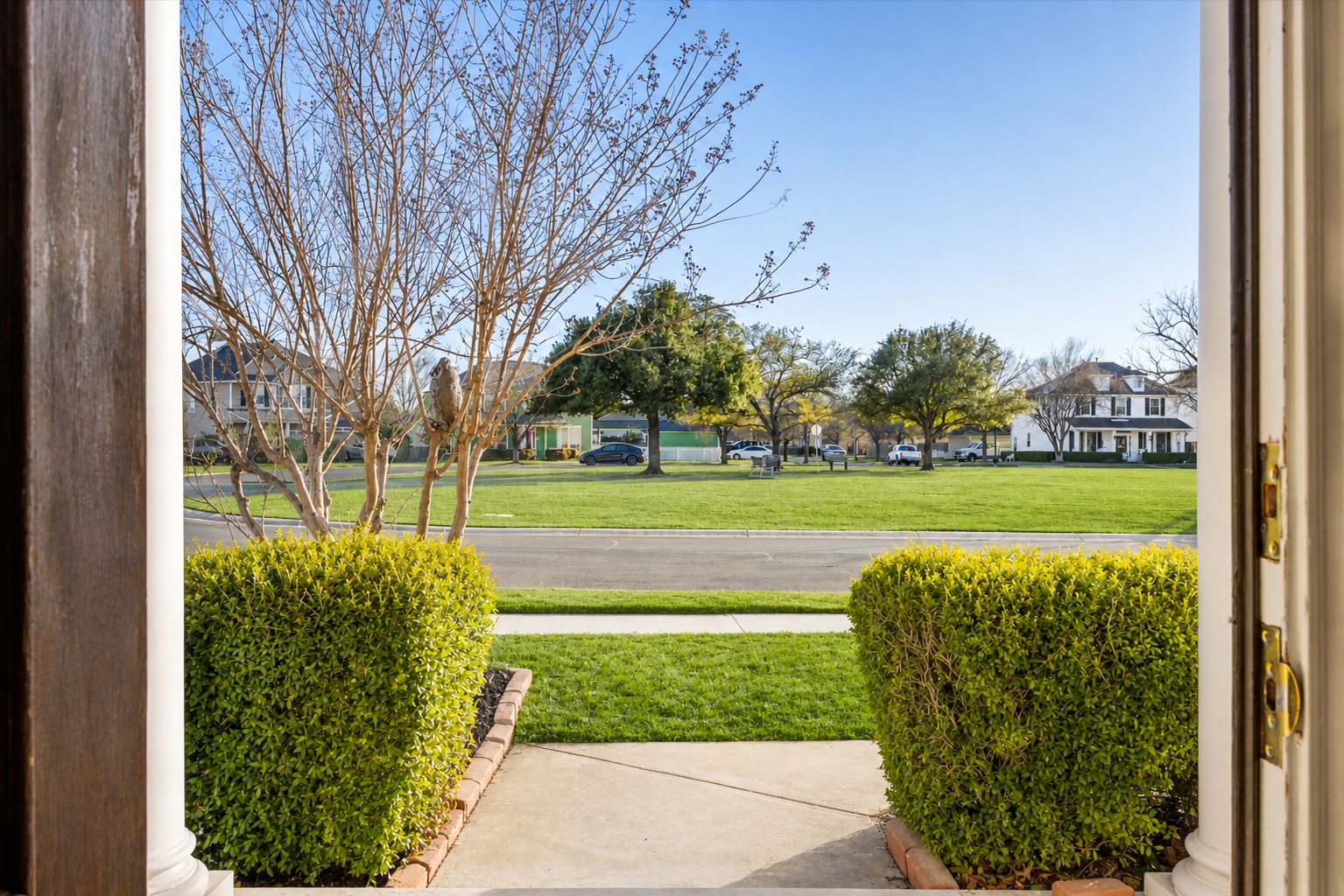122 Summers Green Georgetown, TX 78633 - Photo 6 of 31 a view of a garden