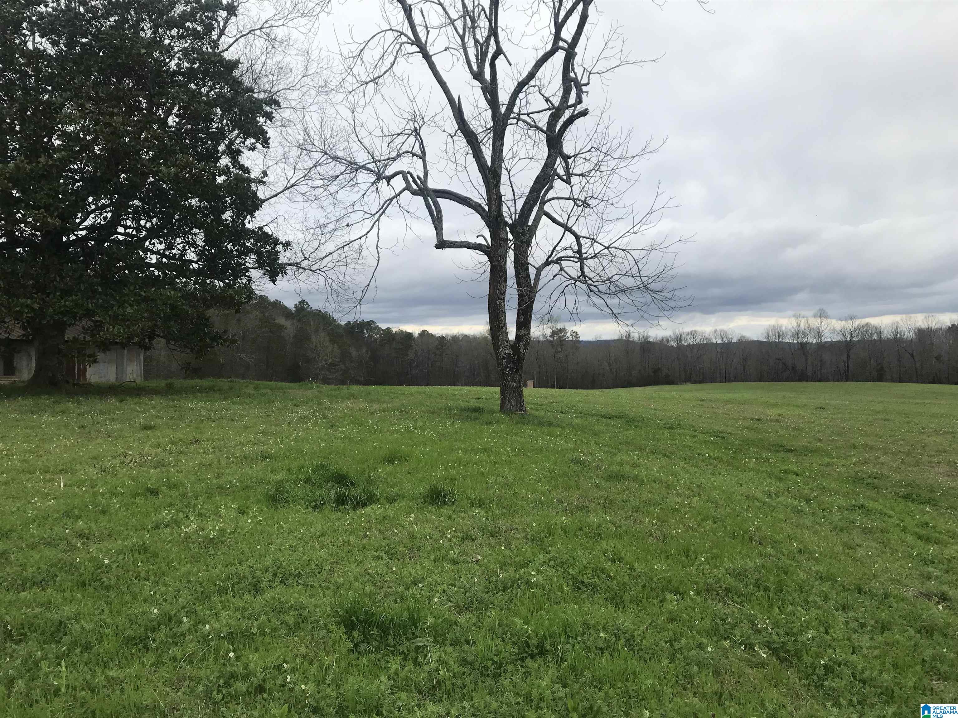 0 Highway 79, Unit 1 Cleveland, AL 35049 - Photo 7 of 10