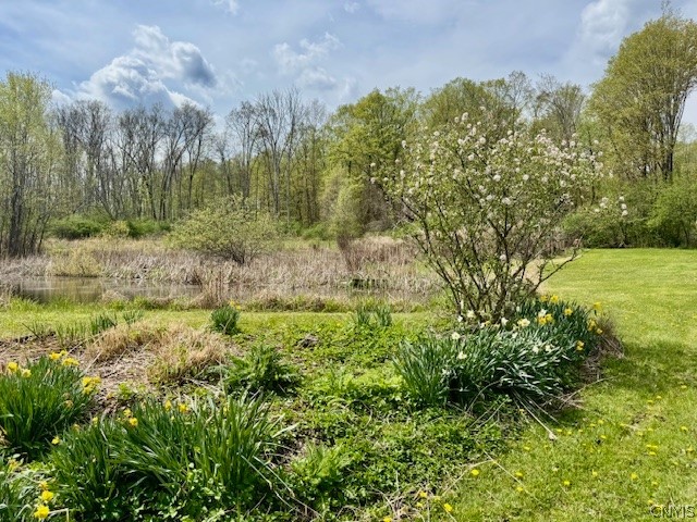 2190 Danby Road Danby, NY 13864 - Photo 43 of 43