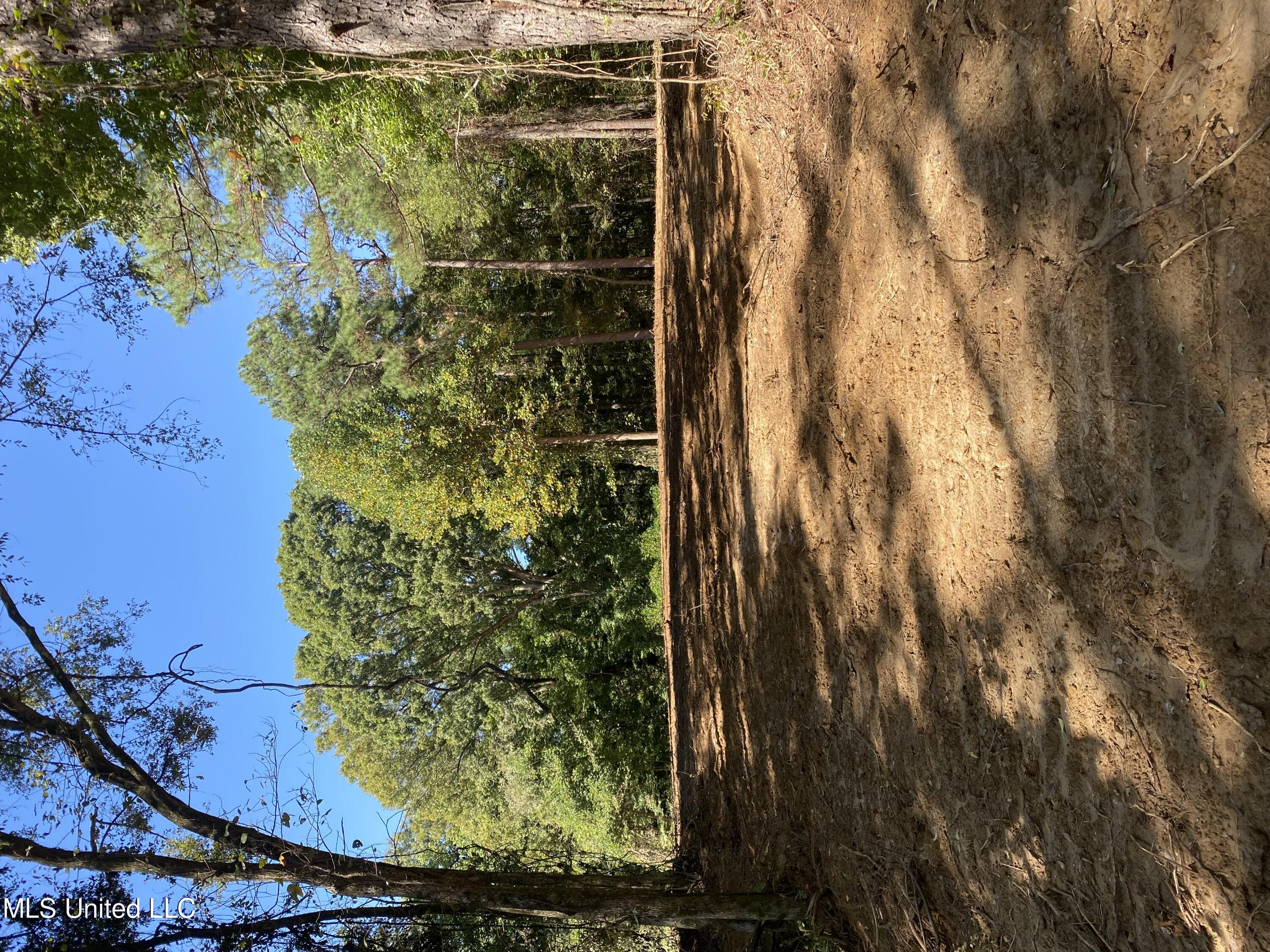 O Bluff Road Coldwater, MS 38618 - Photo 1 of 8 LAND