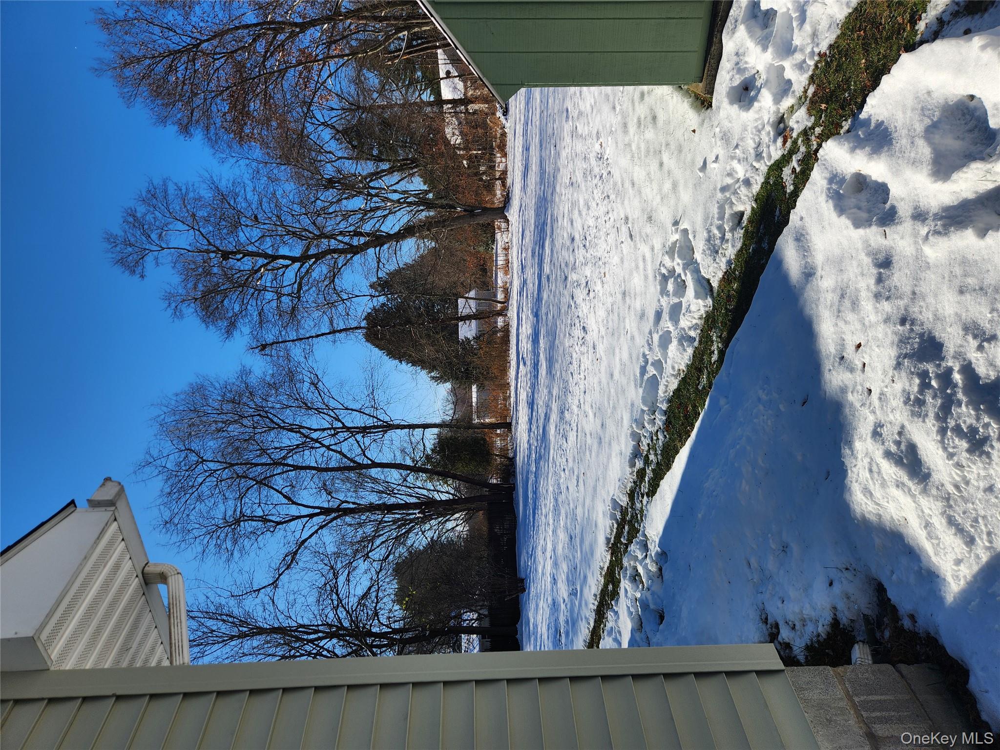 63 Jefferson Road, Unit A Red Hook, NY 12571 - Photo 12 of 13 a view of a yard covered with snow in front of house