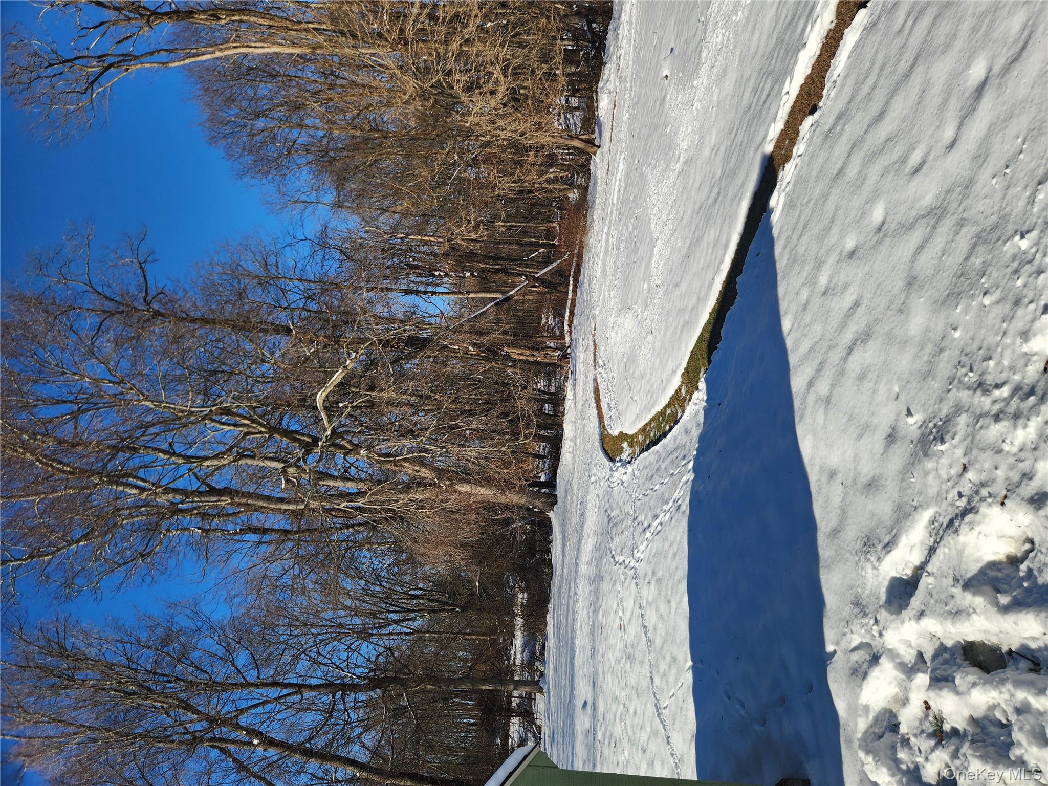 63 Jefferson Road, Unit A Red Hook, NY 12571 - Photo 13 of 13 a view of yard space and trees
