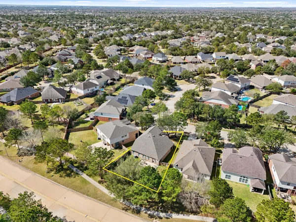 a bird view