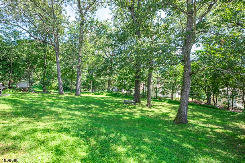 14 Ash Lane Randolph, NJ 07869 - Photo 18 of 22 a big yard with lots of green space and trees
