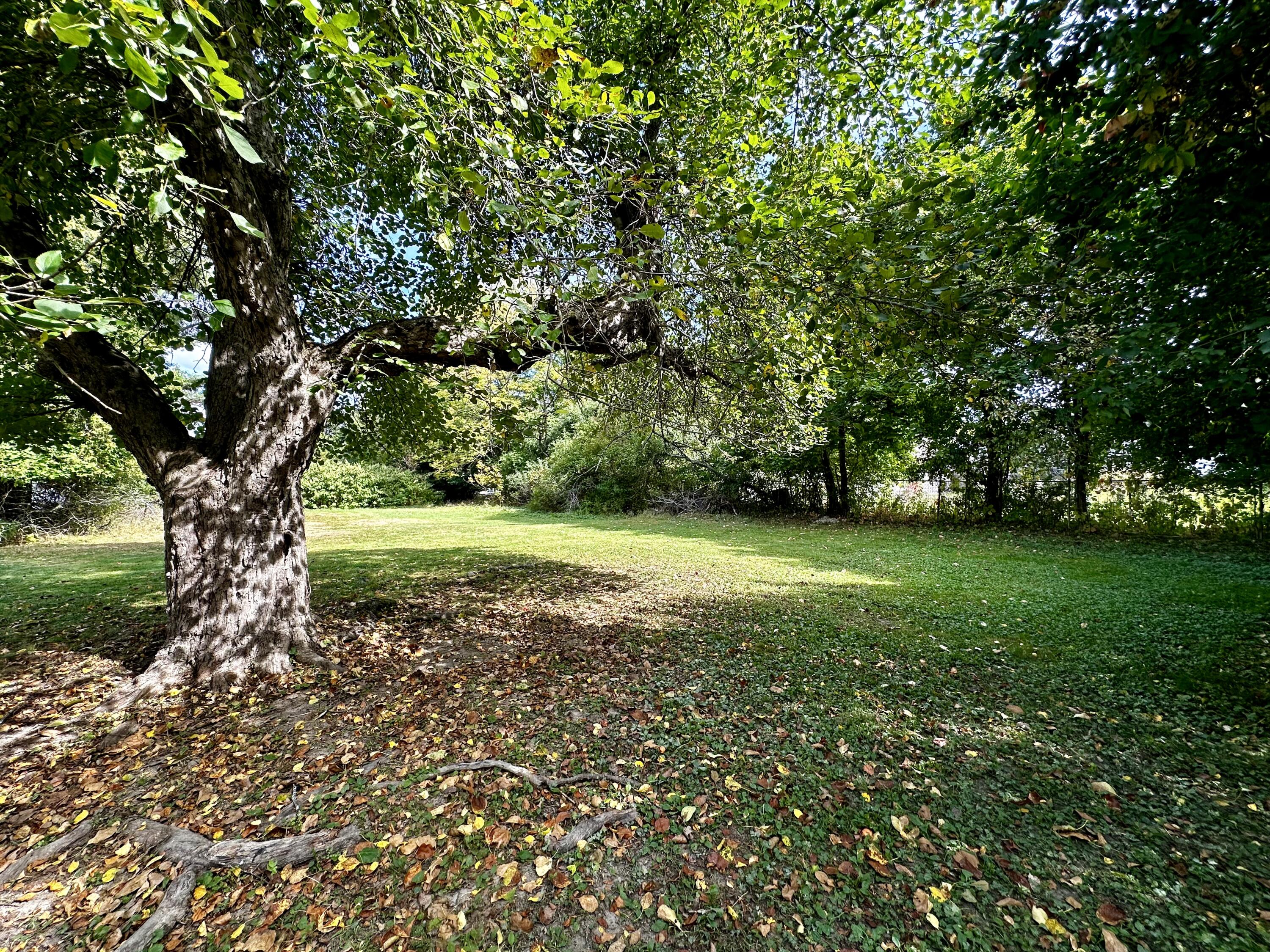 112 South Street Calais, ME 04619 - Photo 78 of 84 IMG_1130