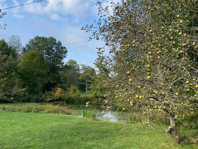 1903 Cable Hollow Road Russell, PA 16345 - Photo 6 of 26 Gallery Image 6