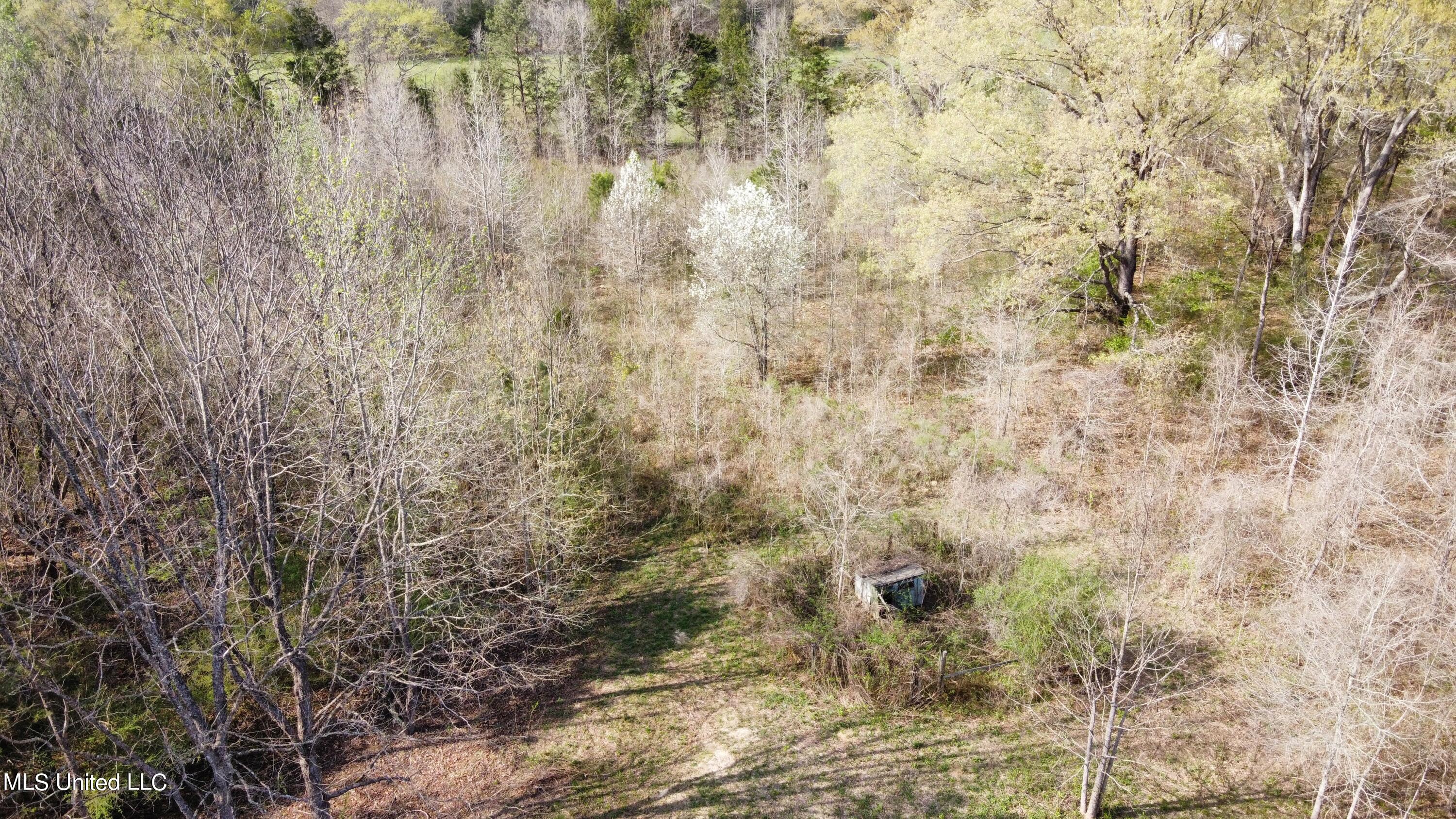 10370 Old Port Gibson Road Edwards, MS 39066 - Photo 9 of 37 dji_fly_20230309_145936_253_167839565176